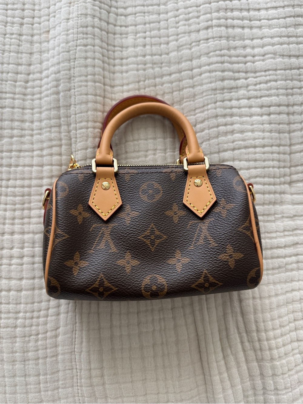 Nano Monogram Speedy